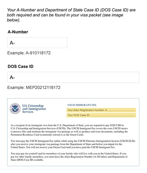 Alien Registration Number Explained The Us Immigration A