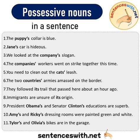 Possessive Nouns In A Sentence Sentences Of Possessive Nouns In