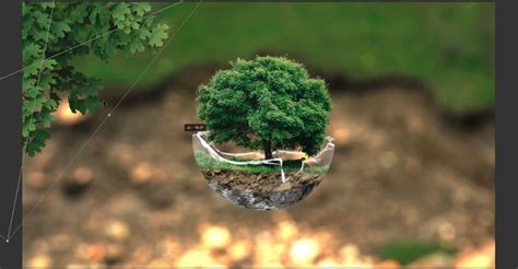 The best photo editing software can help to bring focus to an image, highlight your key subjects and transform an average picture into something truly incredible. Create a Tree Sphere Photo Manipulation in Photoshop ...