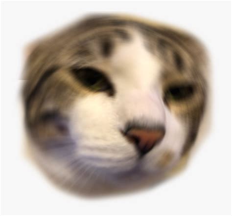 Other Emoji Discord Emoji Png Anime Cat Discord Emoji Cat Emotes For