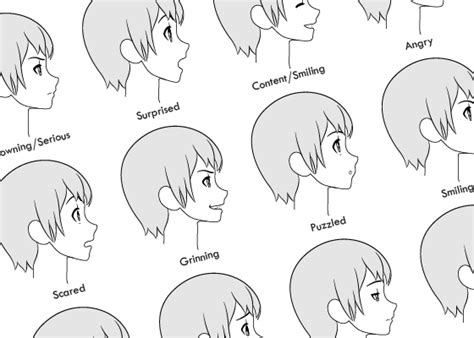 I am going to explain how i sketch step by step. How to Draw Anime Facial Expressions Side View - AnimeOutline