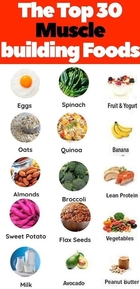 Top Muscle Building Foods Food To Gain Muscle Healthy High Protein