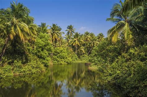 10 Best Kerala Tours And Trips 20232024 Tourradar