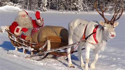 Reindeer Of Santa Claus 🦌🎅children Learning Secrets Of Superlichens