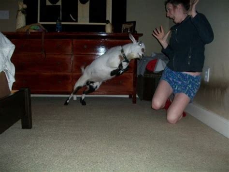 26 Hilarious Photos Taken Just A Second Before Epic Fails 8 Wtf