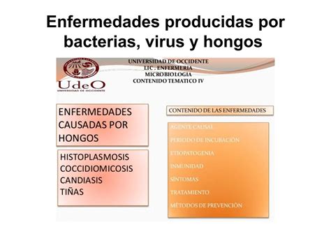 Enfermedades Causadas Por Hongos Coggle Diagram Gambaran