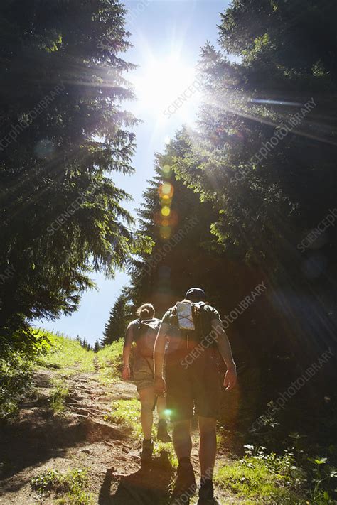 Hikers Walking Uphill In Forest Stock Image F0043339 Science