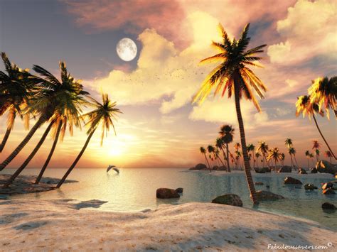 Want to discover art related to wallpaper_beach? Free 3D Beach Wallpaper - WallpaperSafari