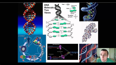 Molecular Genetics Introduction Youtube