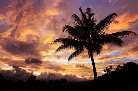 Dramatic Fiji Sunrise Photograph By Greg Vaughn Printscapes