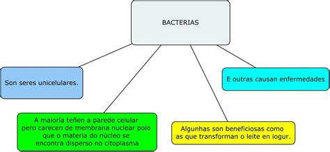 Bacterias Mapa Mental