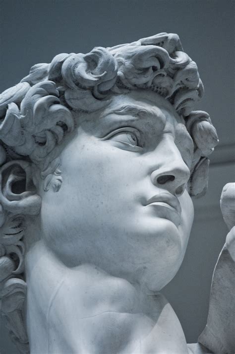 David Michelangelo Roman Sculpture Greek Art Sculpture Art