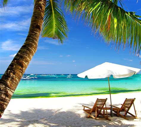 Vacation Time Blue Sunshine Lounge Sea Palms Umbrella Sand
