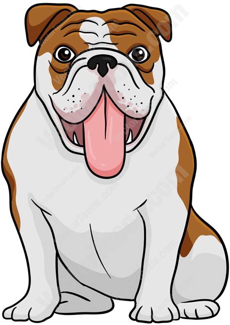 Brown And White English Bulldog Sitting With Its Tongue Hanging Out