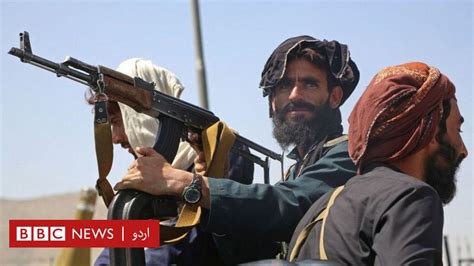 افغانستان میں طالبان پر عاصمہ شیرازی کا کالم طالبان آ گئے، طالبان چھا گئے Bbc News اردو