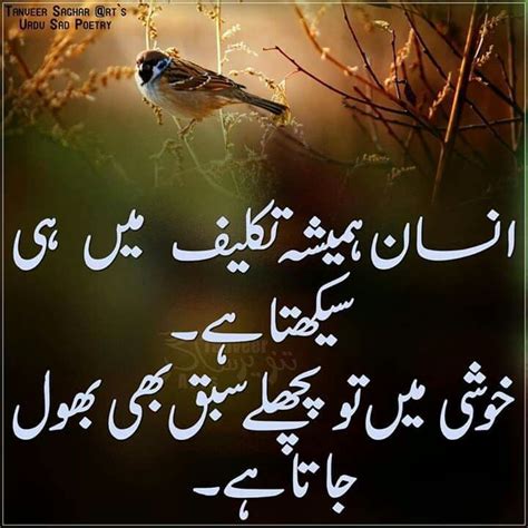 Pin By Soomal Mari On Urdu Motivational Quotes In Urdu Inspirational