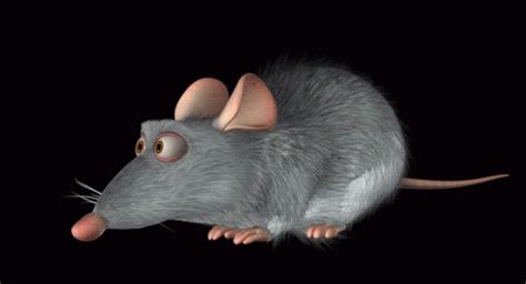 Retro Renderman The Hair And Fur Of ‘ratatouille Befores And Afters