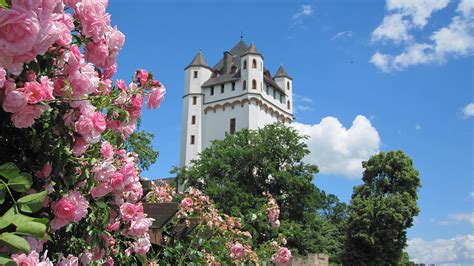 Kurfürstliche Burg Eltville Rheingau