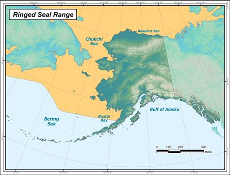 Ringed Seal Range Map Alaska Department Of Fish And Game
