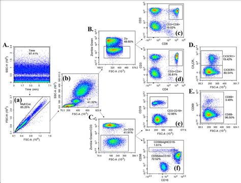 Flow Cytometry Gating Procedure Download Scientific Diagram