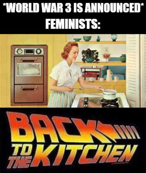 Back To The Kitchen Meme By Axelking Memedroid