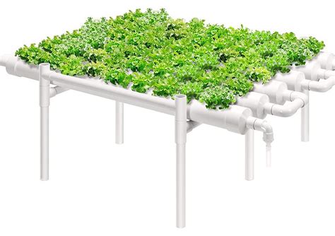 How To Build An Ebb And Flow Hydroponics System