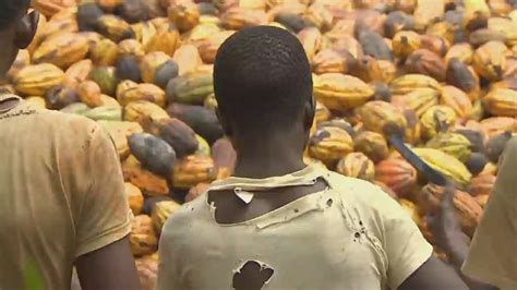 Chocolate Industry Tackles Child Slavery Cnn Video