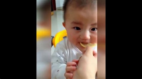 Babies Eating Lemons For The First Time Try Not To Laugh Funny Videos