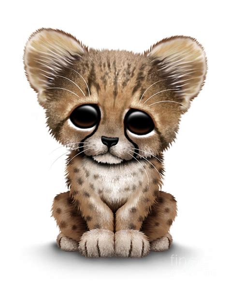 The images above represents how your finished drawing is going to look and the steps involved. Cute Baby Cheetah Cub Digital Art by Jeff Bartels