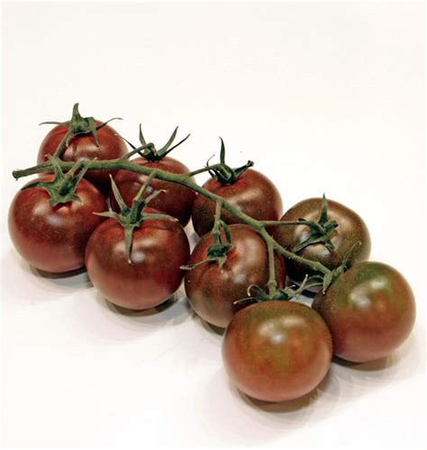 Sunchocola Cherry Tomato West Coast Seeds