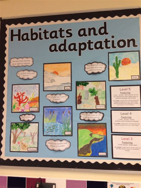 Habitats Display Ks2 Science Primary Science Science Lessons School