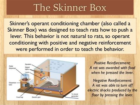 The Skinner Box Operant Conditioning Skinner Box Constructivist