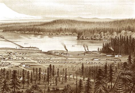 Tacoma And Mt Rainier Washington In 1878 Birds Eye View Aerial