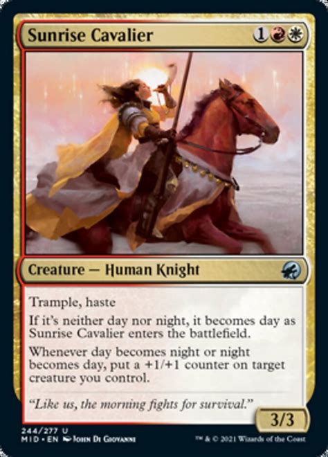 Sunrise Cavalier Magic The Gathering Mtg Card