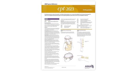 Cpt 2023 Express Reference Coding Card Orthopaedics By American