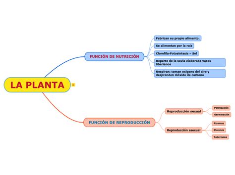 La Planta Mind Map