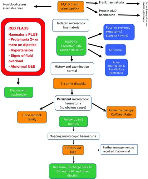 Fifteen Minute Consultation The Management Of Microscopic Haematuria ADC Education Practice