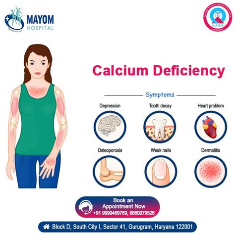 Role Of Calcium In Human Body Deficiency Diseases Cal