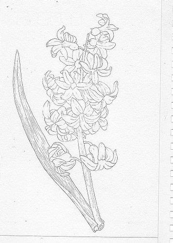 Hyacinth Flower Tattoo Designs