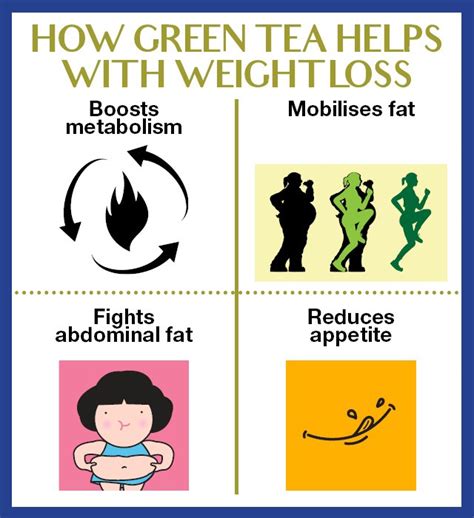 15 Tricks Green Tea Weight Loss Benefits Best Product Reviews