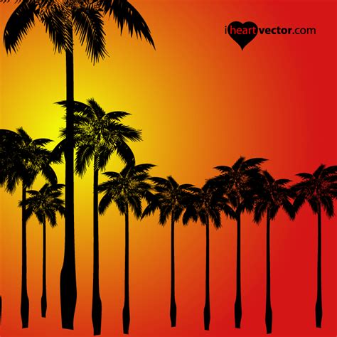 Palm Trees Sunset Silhouette Vector Download Free Vector