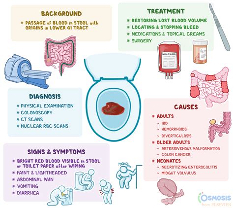 Hematochezia What Is It Causes Signs Symptoms And More Osmosis