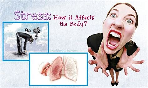 How Stress Affects The Body And Health 20 Facts
