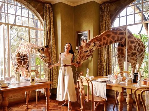 The ultimate guide to staying at Nairobi’s giraffe manor hotel | Kenya