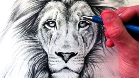 Https://tommynaija.com/draw/realistic How To Draw A Lion