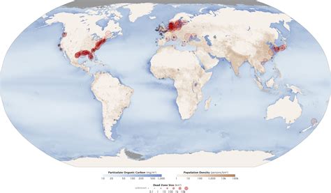 Our Planet Is Exploding With Marine Dead Zones Business Insider