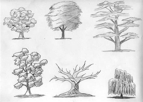 Sketch Trees By Digikijo On Deviantart