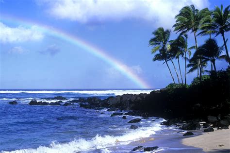 43 Bing Free Wallpaper Hawaii