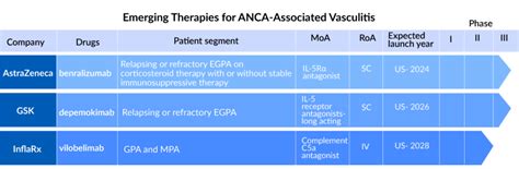 Novel Insights Into Anca Associated Vasculitis Treatment Market