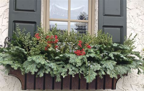 Window Box And Urn Idea I Am So Doing This Love The Festive Look With